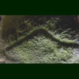 O Santrocado no petroglifo do Abeiro do Raposo (Amoeiro)
